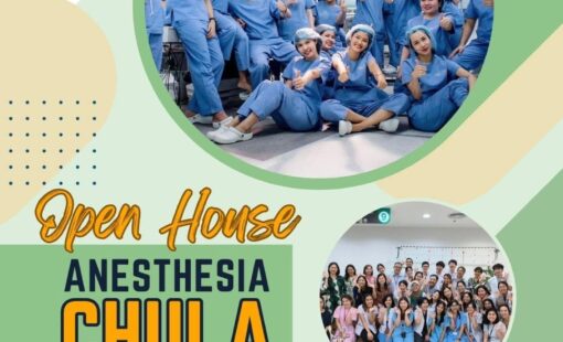 aneschula-news-fb-2024-06-18-b600dd-01-1be9e5bf